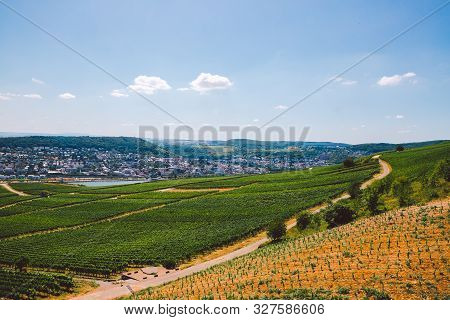 Panorama Of The Middle Rhine River Valley With Beautiful Vineyards Sloping Down To A Distant Medieva