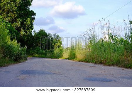Blurred A Local Road In The Countryside With Tropical Trees Growing On The Roadside,blue Sky White F