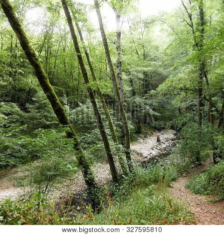 Small Path In The Vallee De L Alzou