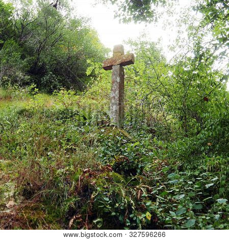 Crucifix In The Middle Of A Forest In The Alzou Vallee