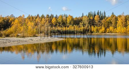 Autumn Colored Deciduous Trees Around Lake In November In The Netherlands