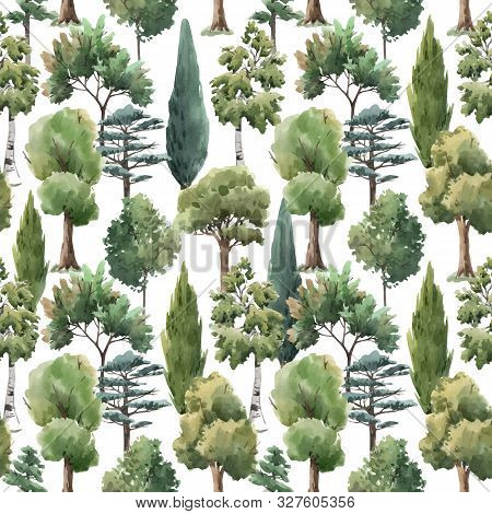 Seamless Vector Pattern With Watercolor Forest Trees Oak Fir Birch, Thuja Linden Baobab Pine