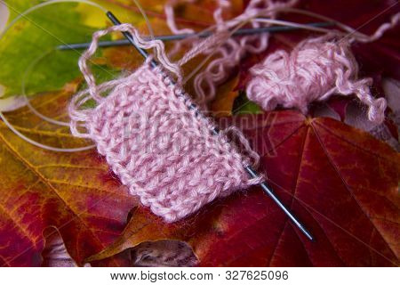Knitting Concept. Autumn Background With Knitting Needles And Pink Knitting On Multicolored Maple Le