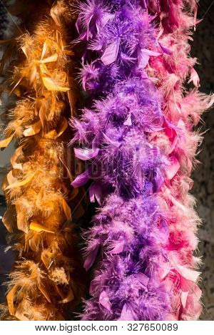 Beautiful Bird Feathers For Decorative Purposes In The View