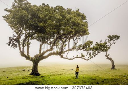 Traveller woman feeling the power of the nature at an ancient forest