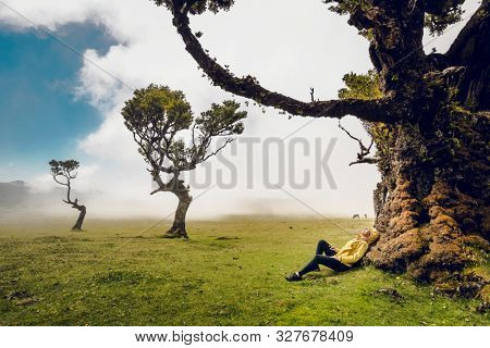 Woman resting near an Ancient tree and enjoying the view