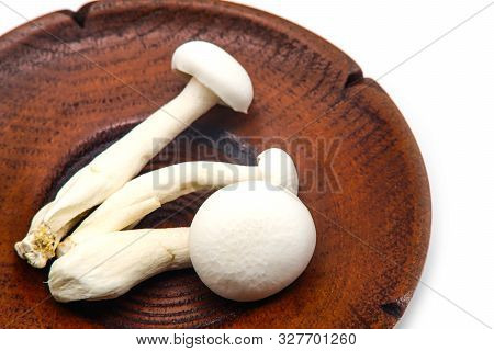White Beech Mushroom, Shimeji Mushroom, Isolated On White Background. Fresh Food Enoki Mushrooms On 