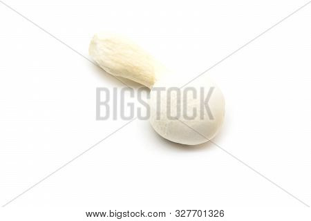 White Beech Mushroom, Shimeji Mushroom, Isolated On White Background. Fresh Food Enoki Mushrooms Con