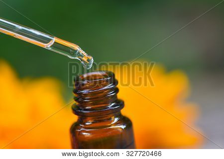 Aromatherapy Herbal Oil Bottles Aroma Dropper On Glass With Flower On Nature Green Background / Esse