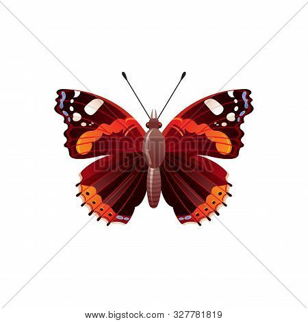 Butterfly Icon. 3d Realistic Admiral Butterfly Insect With Beautiful Red Color Wings. Animal Sign Fo