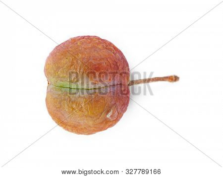 Shriveled plum isolated on white background