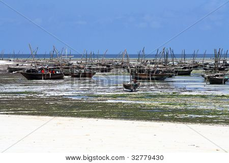 Fiskerleje i Zanzibar