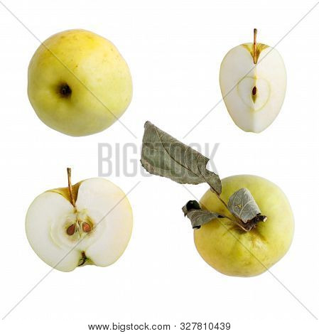 Set Of Fresh Whole, Cut And Slice Apples Isolated On White Background.   Antonovka Apples. Top View,