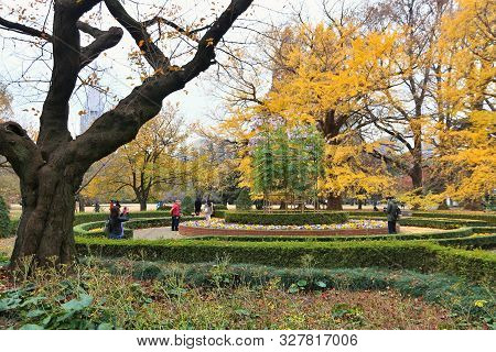 Tokyo, Japan - November 30, 2016: People Visit Shinjuku Gyoen In Tokyo, Japan. Shinjuku Gyoen Park I