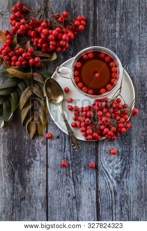 Hot Healing Tea, Mountain Ash Tea. Applied With A Lack Of Vitamins, Anemia, Metabolic Disorders. Red