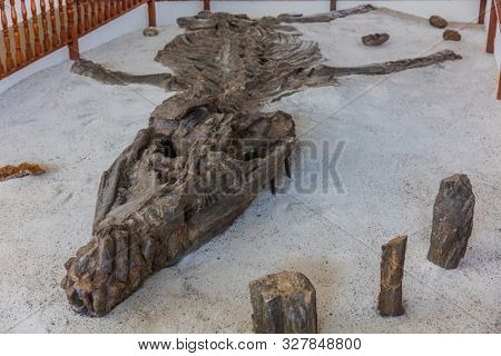 Villa De Leyva, Colombia - February 7, 2017 : dinosaur skeleton fossil of the Museo Del Fosil