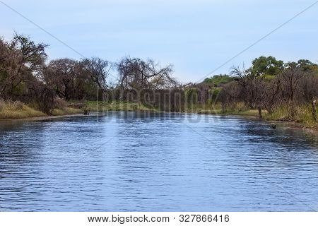 Crossing River In Okavango Delta, In Kasane And Maun Botswana