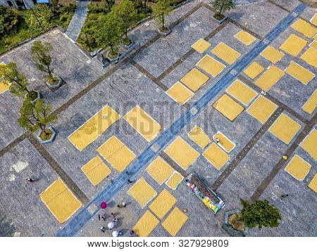 Rice Drying In Longli Ancient Town