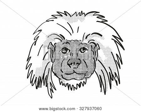 Retro Cartoon Style Drawing Of Head Of A Cottontop Tamarin , An Endangered Wildlife Species On Isola