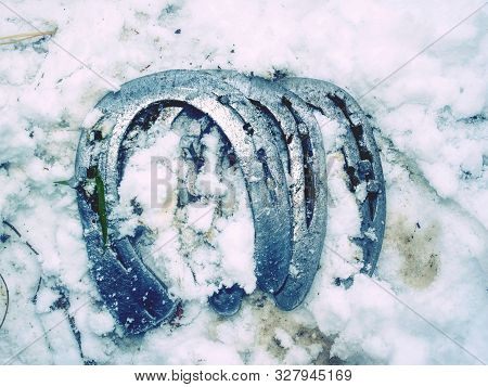 Old Wornout Rusted Horseshoe Lying On Snow. Winter Changing Of Horse Shoes In Horse Farm. Traditiona