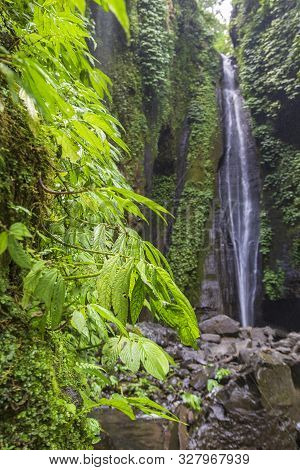 Sekumpul Waterfalls In Bali, Indonesia.waterfall In Green Forest. Triple Tropical Waterfall Sekumpul