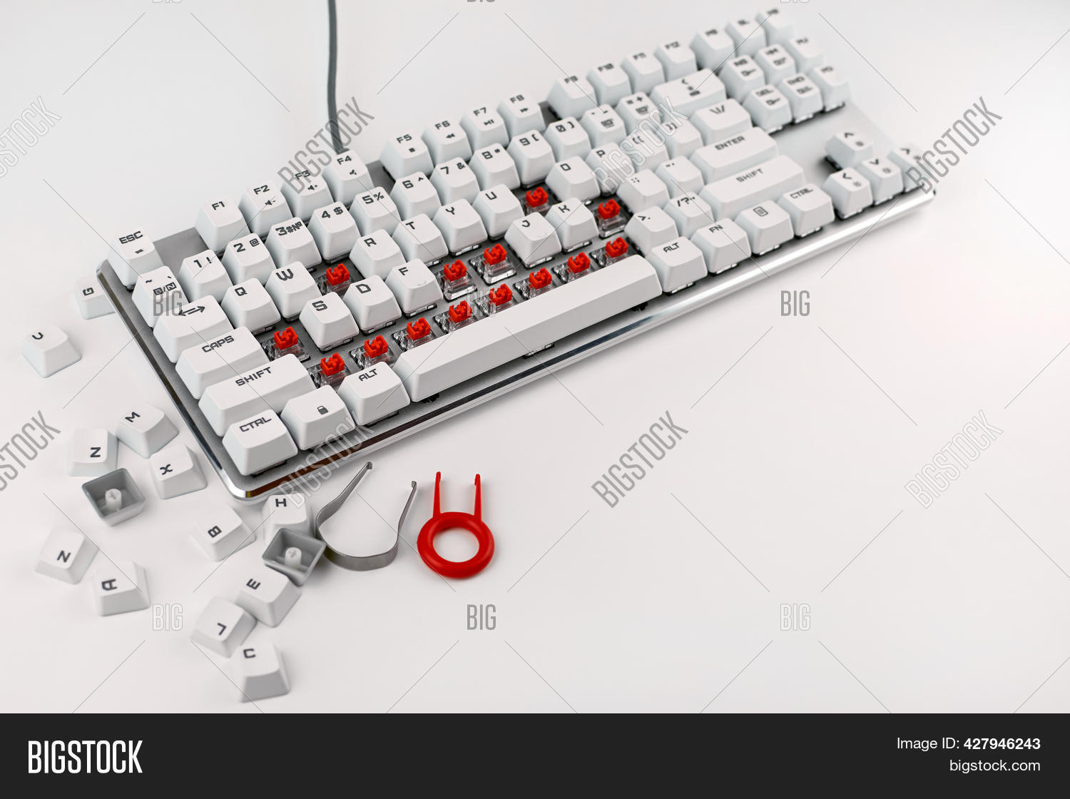 Disassembled Keyboard Image & Photo (Free Trial) | Bigstock