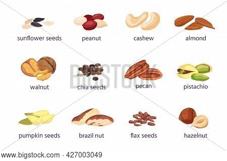 Nuts And Seeds. Hazelnut, Almond, Walnut And Peanut. Sunflower, Pumpkin And Chia Seed Pile. Pistachi