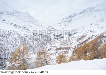 Landscape From The Trainstation Of Alp Grum Along The Way Of The Red Train Of The Bernina During A C