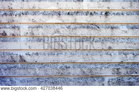 Black Mold On Vinyl Siding On A Missourk Home. The North Wall Is A Breeding Ground For The Unsightly
