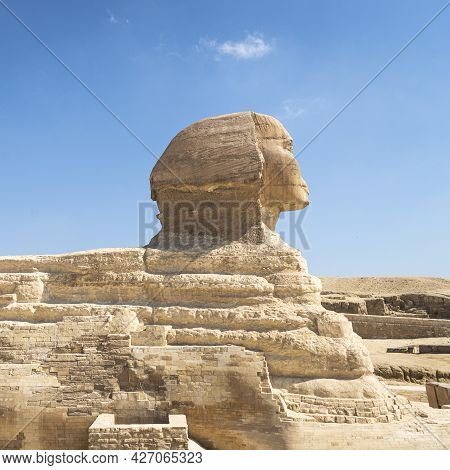 Sphinx Egypt Portrait. Portrait Of The Great Sphinx Of Egypt Close. Egypt, Giza. Many Pigeons On The