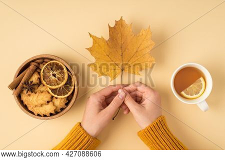 First Person Top View Photo Of Hands In Pullover Holding Yellow Maple Leaf Cup Of Tea With Lemon Woo