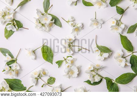 Pattern Of Bud Jasmine And Leaves Scattered On A Gary  Background, Overhead View. Flat Lay Pattern