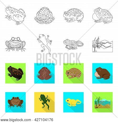 Vector Illustration Of Wildlife And Bog Logo. Collection Of Wildlife And Reptile Vector Icon For Sto