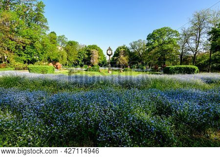 Landscape With Green Trees, Leaves, Vintage Clock And Many Small Blue Forget Me Not Or Scorpion Gras