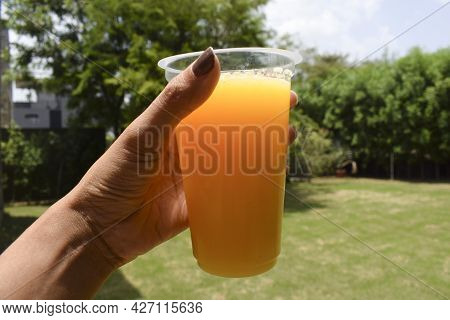 Female Holding A Transparent Glass Of Orange Juice Or Malta Juice Fresh. Background Of Nature Greene