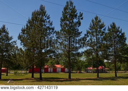 Burke County, Ga Usa - 05 01 21: Beautiful Nature Background And Red Farm Style Buildings