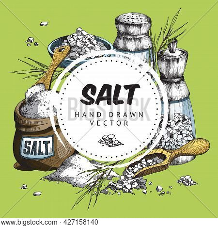 Color Vector Hand Rawn Illustration Of Round Label With Text Salt And Salt Objects On Green Backgrou