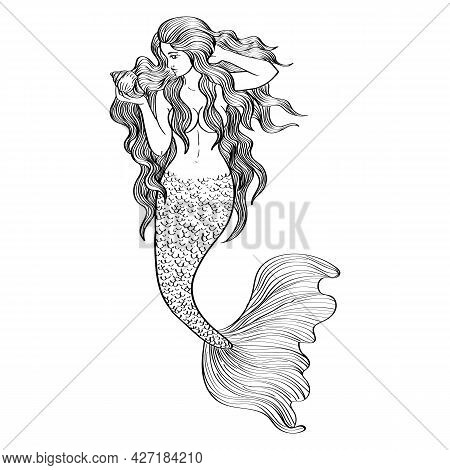 Mermaid With Seashell Outline Illustration Black Isolated On White Background, Stock Vector Image, F