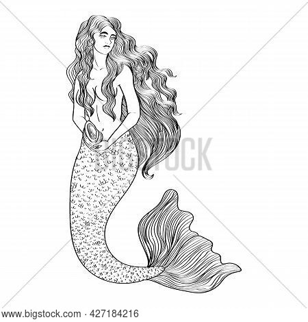 Mermaid With Seashell Outline Illustration Black Isolated On White Background, Stock Vector Image, F