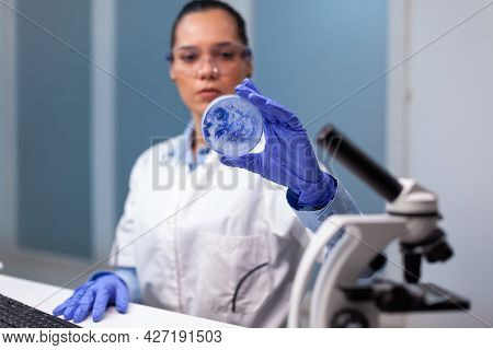 Scientist Woman Analyzing Petri Dish With Microorganism Bacteria In Microbiology Chemistry Hospital 