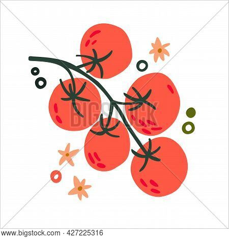 Flat Cherry Tomato Drawn By Hands. Flat Vegetables On White. Vegan, Farmed, Natural