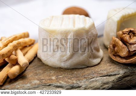 Cheese Collection, Soft Goat French Cheese With Mold Crottin De Chavignol Produced In Loire Valley