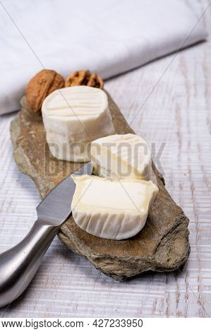 Cheese Collection, Soft Goat French Cheese With Mold Crottin De Chavignol Produced In Loire Valley