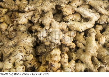 Fresh Ginger Roots In The Traditional Colombian Market - Zingiber Officinale