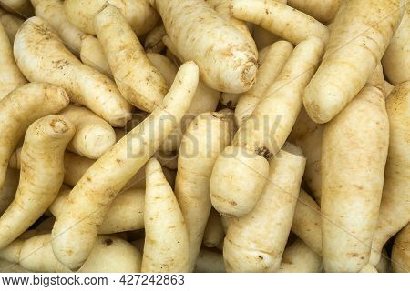 Arracacia Xanthorrhiza In The Traditional Colombian Market