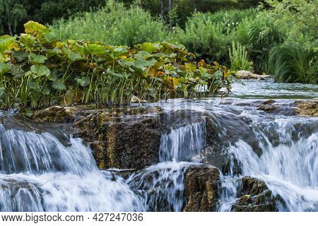 Suenginsky Cascade Waterfall On The Gold-bearing Sueng River. Maslyaninsky District Of The Novosibir