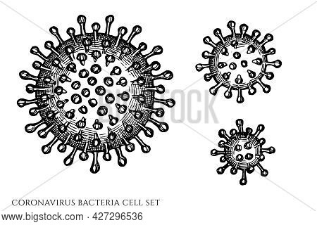 Vector Set Of Hand Drawn Black And White Coronavirus Bacteria Cell Stock Illustration