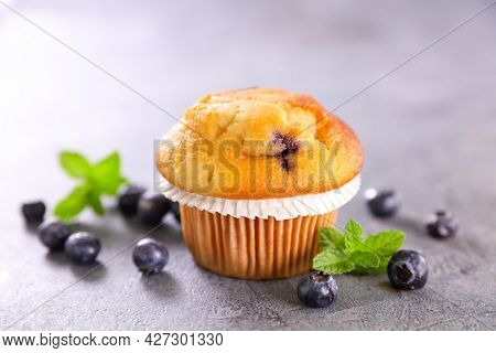 single blueberry muffing,  blueberry cake