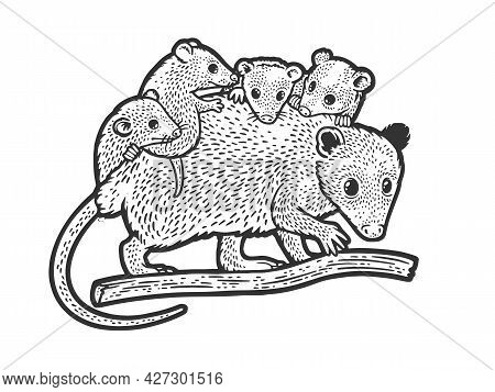 Opossum Mom With Baby Opossum Line Art Sketch Engraving Vector Illustration. T-shirt Apparel Print D