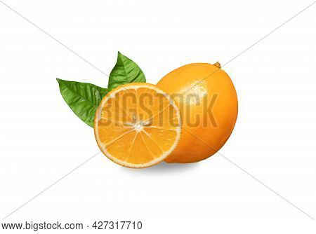 Orange Citrus Fruit Isolated On A White Background. Citrus Meyeri Orange Lemon. Juicy Fruit With Lea